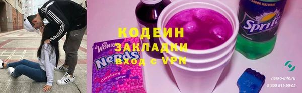 прущая мука Вяземский