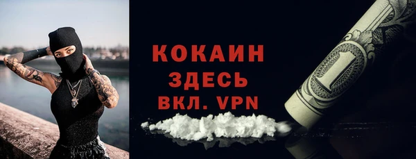 прущая мука Вяземский
