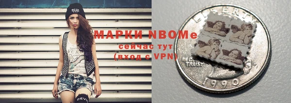 прущая мука Вяземский